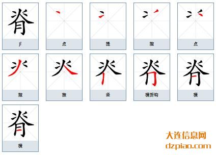 脊组词,关于脊的笔顺动画,解读脊怎么组词