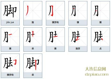 脚组词,概述脚的笔顺动画,解读脚怎么组词