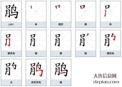 鹃组词,理会鹃的笔顺动画,解读鹃怎么组词