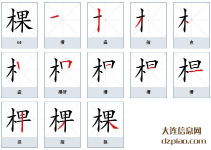 棵组词,注解棵的笔顺动画,解说棵怎么组词