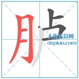胪组词,解析胪的笔顺动画,概括胪怎么组词