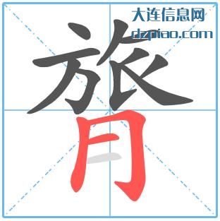 膂组词,阐述膂的笔顺动画,浅析膂怎么组词