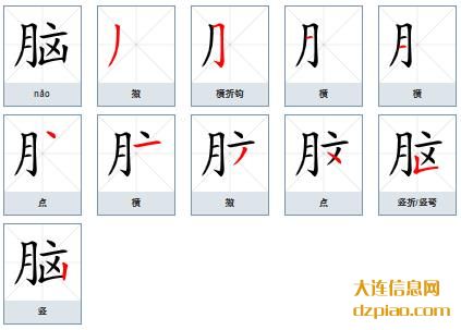 脑组词,脑怎么组词,脑的笔画顺序