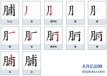 脯组词,讨论脯的笔顺动画,谈谈脯怎么组词