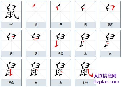鼠的笔顺,理解鼠的笔画,解惑鼠的部首