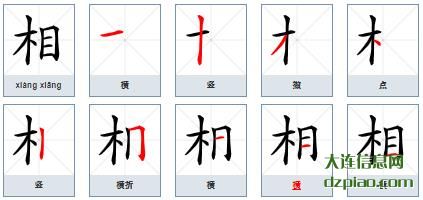 相组词,相怎么组词,相的笔画顺序