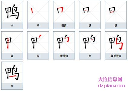 鸭的笔顺,解析鸭的笔画,聊聊鸭的部首