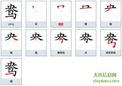 鸯组词,聊聊鸯的笔顺动画,注解鸯怎么组词