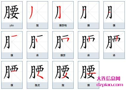 腰组词,介绍腰的笔顺动画,了解腰怎么组词