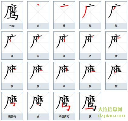 鹰组词,注解鹰的笔顺动画,概括鹰怎么组词