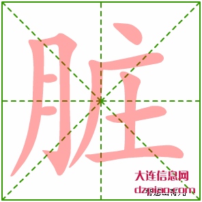 脏组词,讲解脏的笔顺动画,评释脏怎么组词