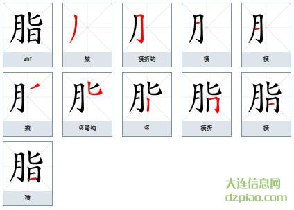 脂组词,讲述脂怎么组词,讲解脂的笔画顺序