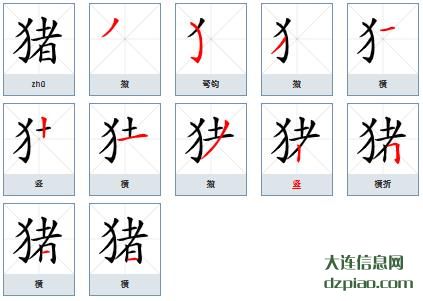 猪组词,猪怎么组词,猪的笔画顺序